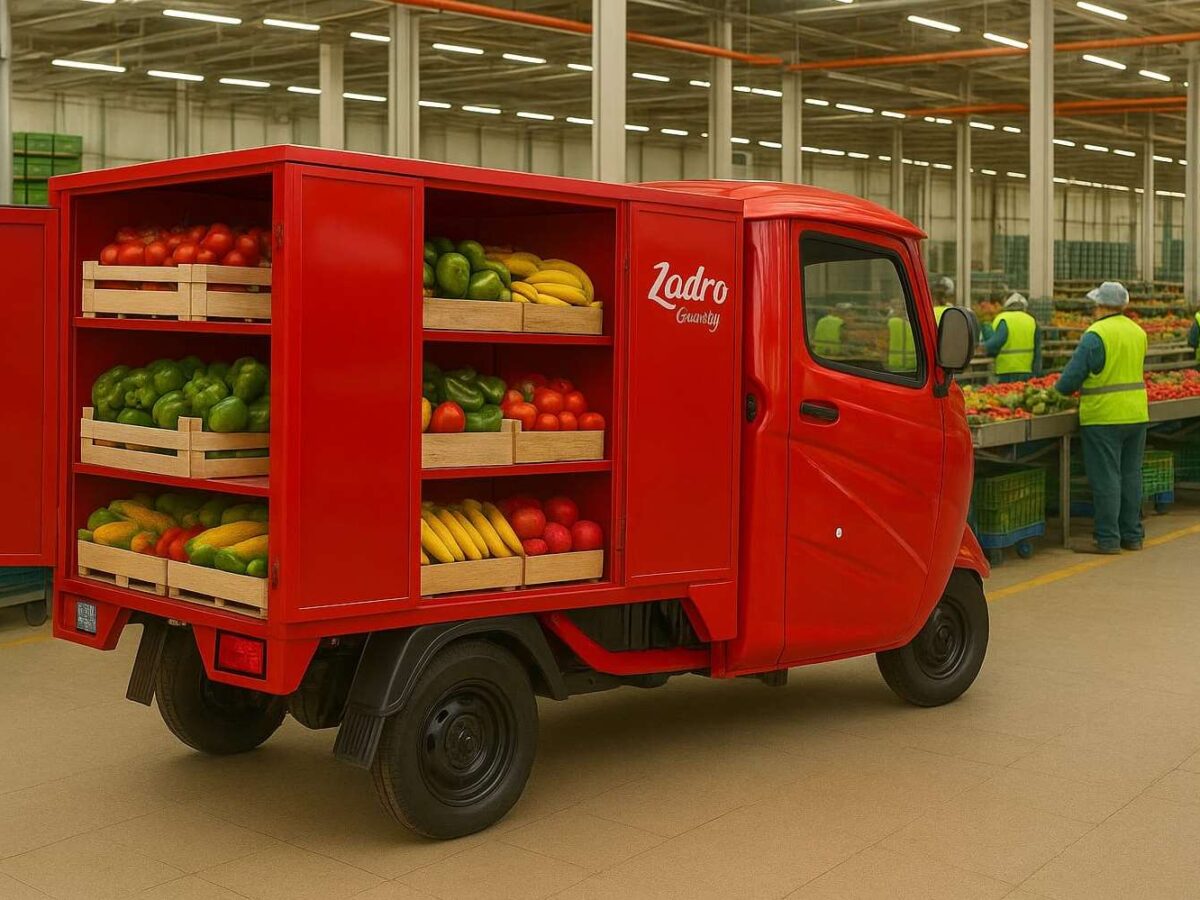 CARGO cabinato elettrico con cassone chiuso